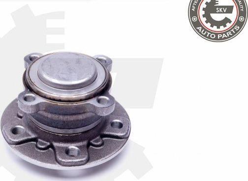 Esen SKV 29SKV303 - Kit de roulements de roue droxauto.com