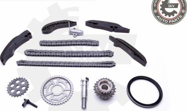 Esen SKV 21SKV196 - Kit de distribution par chaîne droxauto.com