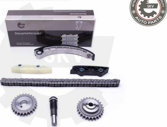 Esen SKV 21SKV143 - Kit de distribution par chaîne droxauto.com