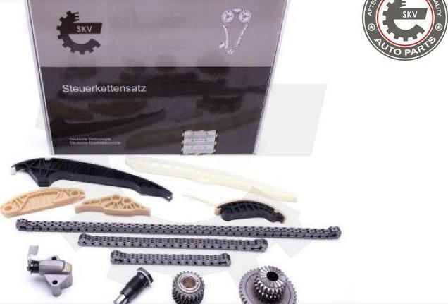 Esen SKV 21SKV163 - Kit de distribution par chaîne droxauto.com