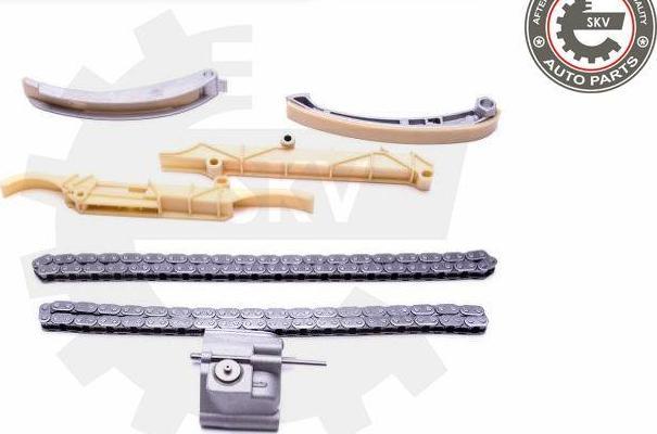 Esen SKV 21SKV138 - Kit de distribution par chaîne droxauto.com