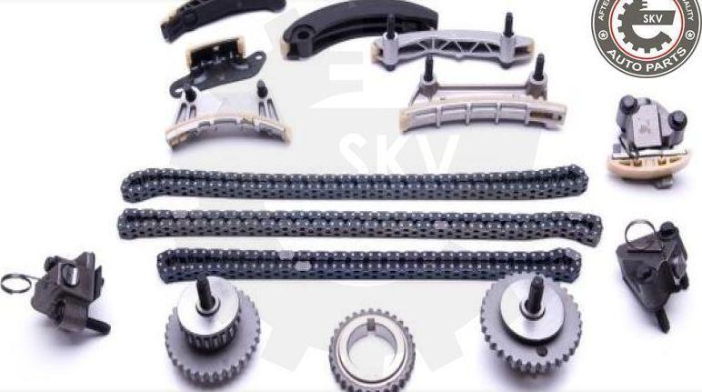 Esen SKV 21SKV175 - Kit de distribution par chaîne droxauto.com