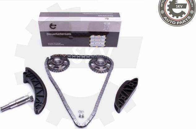 Esen SKV 21SKV171 - Kit de distribution par chaîne droxauto.com