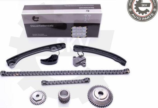 Esen SKV 21SKV248 - Kit de distribution par chaîne droxauto.com