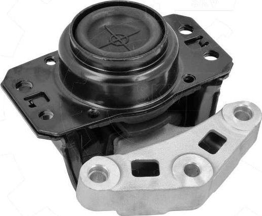 Esen SKV 75SKV248 - Support moteur droxauto.com