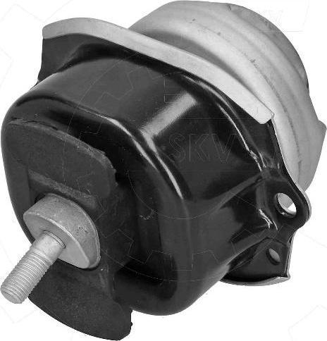 Esen SKV 75SKV254 - Support moteur droxauto.com