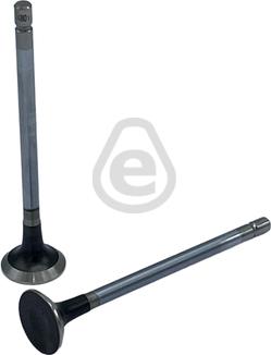 EUROCAMS EVO4801 - Soupape d'émission droxauto.com