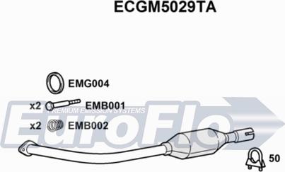 EuroFlo ECGM5029TA - Catalyseur droxauto.com