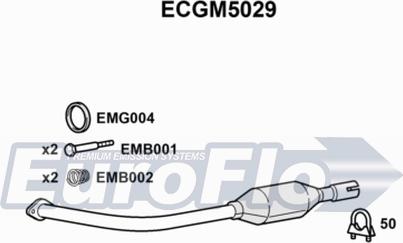 EuroFlo ECGM5029 - Catalyseur droxauto.com