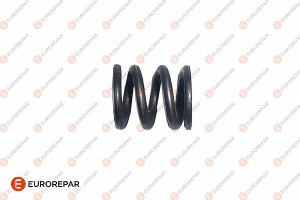 EUROREPAR 1607361580 - Ressort, tuyau d'échappement droxauto.com