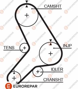 EUROREPAR 1633140180 - Courroie de distribution droxauto.com
