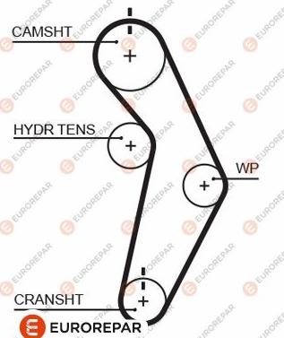 EUROREPAR 1633141280 - Courroie de distribution droxauto.com