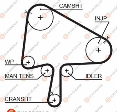EUROREPAR 1633141780 - Courroie de distribution droxauto.com
