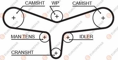EUROREPAR 1633134580 - Courroie de distribution droxauto.com