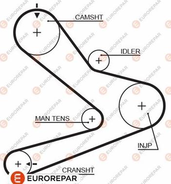 EUROREPAR 1633134880 - Courroie de distribution droxauto.com