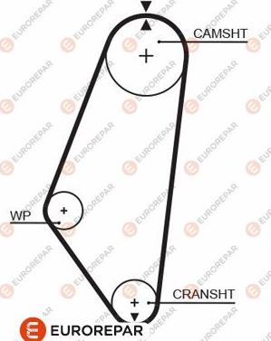 EUROREPAR 1633136480 - Courroie de distribution droxauto.com