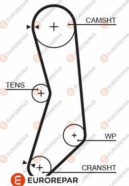 EUROREPAR 1633136080 - Courroie de distribution droxauto.com