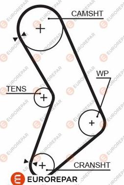 EUROREPAR 1633131580 - Courroie de distribution droxauto.com
