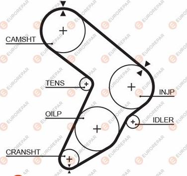 EUROREPAR 1633137880 - Courroie de distribution droxauto.com