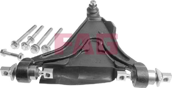 FAG 821 0450 10 - Bras de liaison, suspension de roue droxauto.com