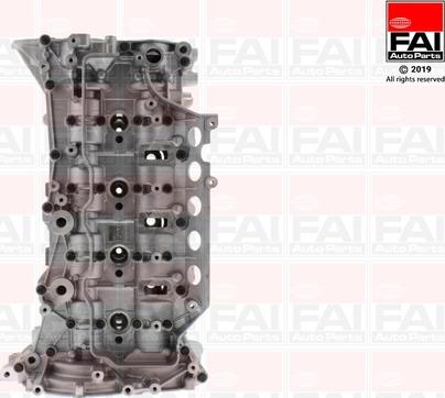 FAI AutoParts BCH093 - Culasse de cylindre droxauto.com