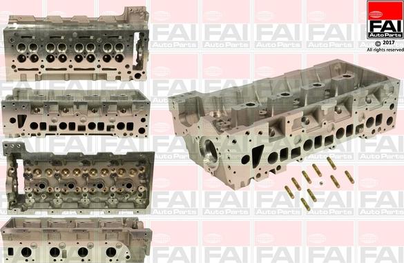 FAI AutoParts BCH039 - Culasse de cylindre droxauto.com