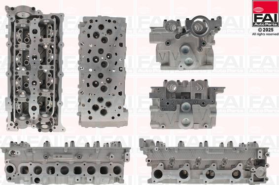 FAI AutoParts BCH251 - Culasse de cylindre droxauto.com