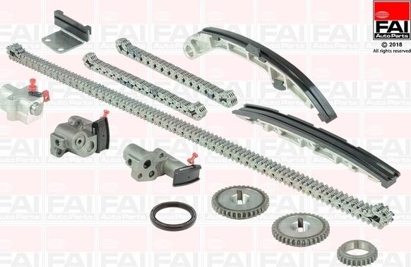 FAI AutoParts TCK252L - Kit de distribution par chaîne droxauto.com