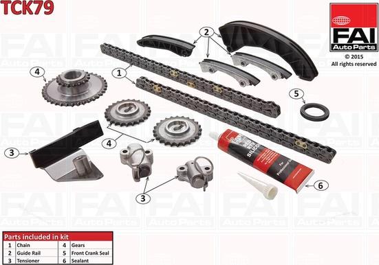 FAI AutoParts TCK79 - Kit de distribution par chaîne droxauto.com