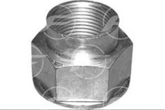 FARE 33374 - Écrou, bout d'essieu droxauto.com