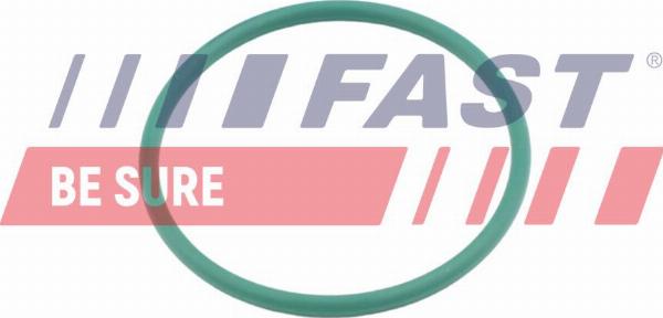 Fast FT49921 - Bague d'étanchéité, gaine de suralimentation droxauto.com