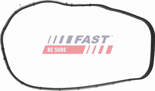 Fast FT49065 - Joint d'étanchéité, carter de distribution droxauto.com