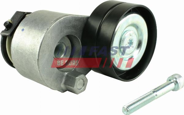 Fast FT44616 - Poulie renvoi / transmission, courroie trapézoïdale à nervures droxauto.com