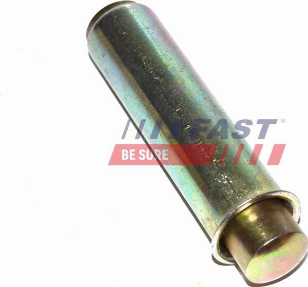 Fast FT44081 - Poulie-tendeur, courroie de distribution droxauto.com