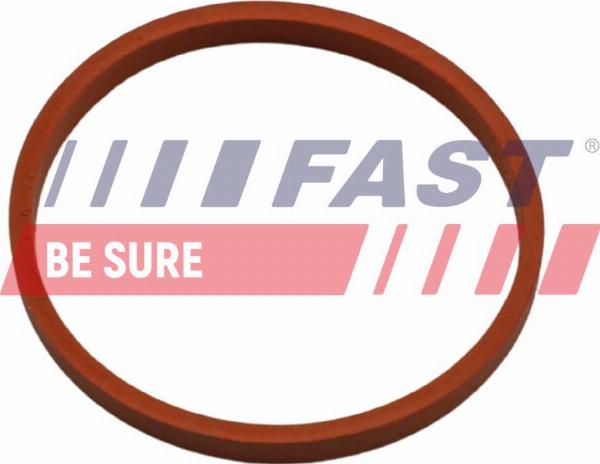 Fast FT48932 - Bague d'étanchéité, gaine de suralimentation droxauto.com