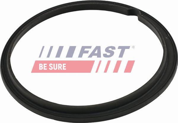 Fast FT48502 - Joint d'étanchéité, palpeur de réservoir droxauto.com