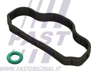 Fast FT48302 - Joint d'étanchéité, vis de couvercle de culasse droxauto.com