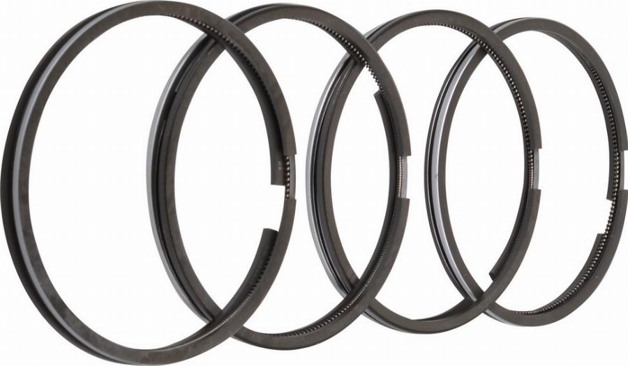 Fast FT47309/0 - Jeu de segments de pistons droxauto.com