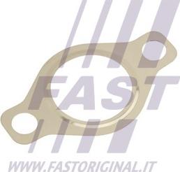 Fast FT50618 - Joint, vanne EGR droxauto.com