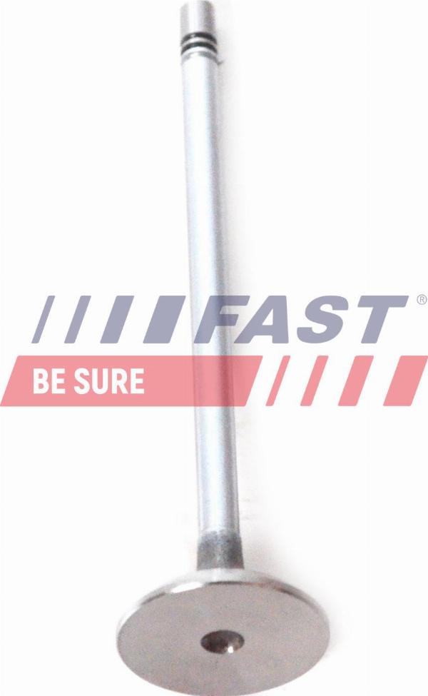 Fast FT50135 - Soupape d'admission droxauto.com
