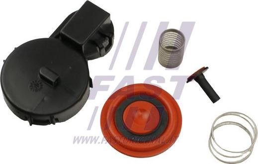 Fast FT60104 - Diaphragme, ventilation du carter-moteur droxauto.com