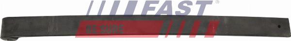 Fast FT10595 - Lame de ressort droxauto.com