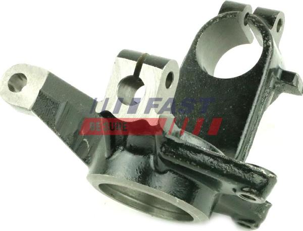Fast FT13542 - Fusée d'essieu, suspension de roue droxauto.com