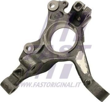 Fast FT13557 - Fusée d'essieu, suspension de roue droxauto.com