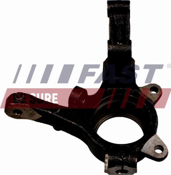 Fast FT13510 - Fusée d'essieu, suspension de roue droxauto.com
