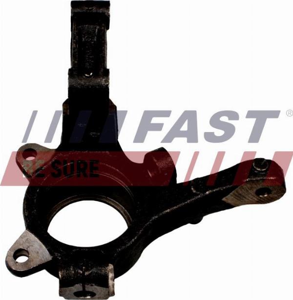 Fast FT13511 - Fusée d'essieu, suspension de roue droxauto.com