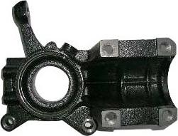 Fast FT13513 - Fusée d'essieu, suspension de roue droxauto.com