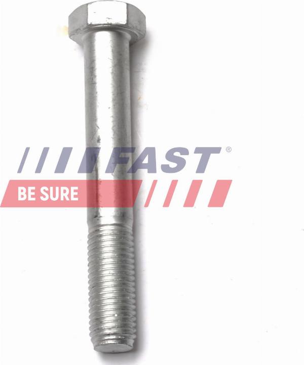 Fast FT13349 - Suspension, ressort à lames droxauto.com