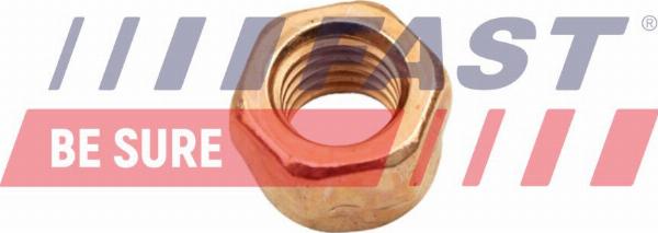 Fast FT84702 - Écrou, collecteur des gaz d'échappement droxauto.com