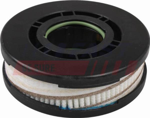 Fast FT38076 - Filtre, ventilation du carter-moteur droxauto.com